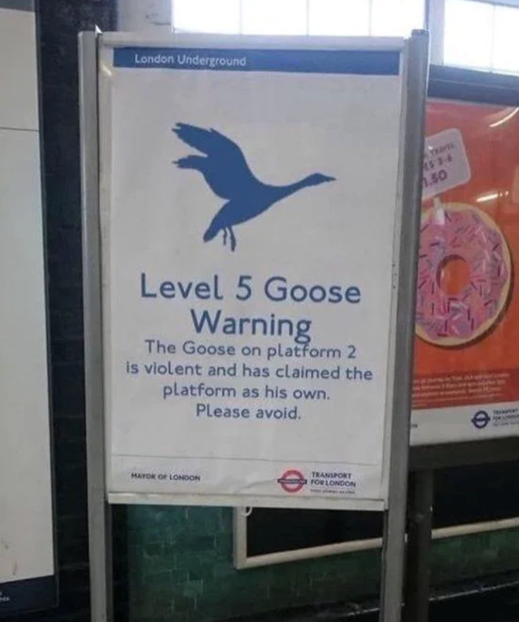 London Underground Level 5 Goose Warning The Goose on platform 2 is violent and has claimed the platform as his own. Please avoid. 153-6 1.50 MAYOR OF LONDON TRANSPORT FOR LONDON