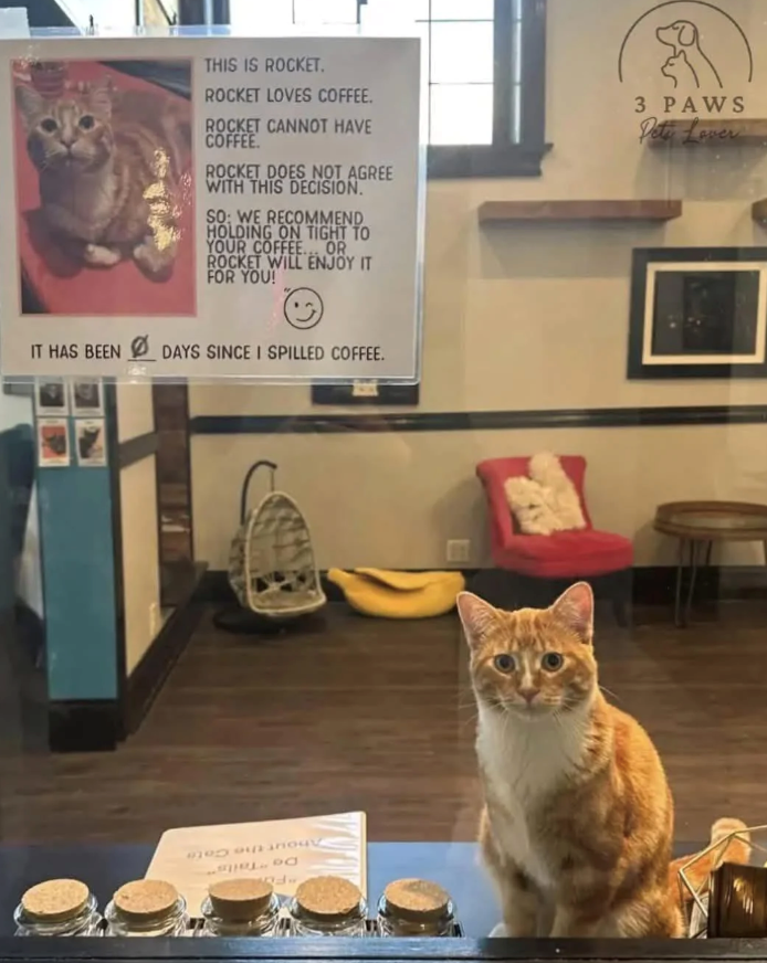 Cheezburger Image 10612961280