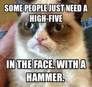 SOME PEOPLE JUST NEED A HIGH-FIVE IN THE FACE. WITHA HAMMER.