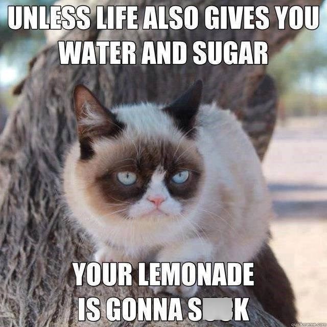 UNLESS LIFE ALSO GIVES YOU WATER AND SUGAR YOUR LEMONADE IS GONNA SK quickmeme.com