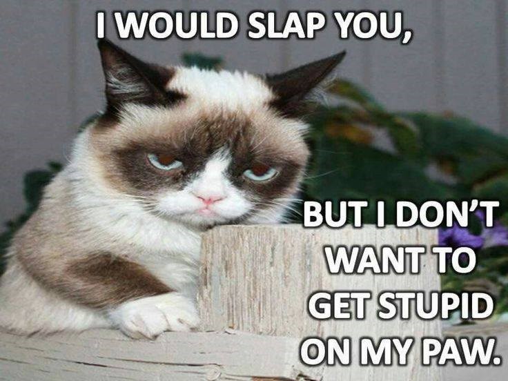 I WOULD SLAP YOU, BUT I DON'T WANT TO GET STUPID ON MY PAW.