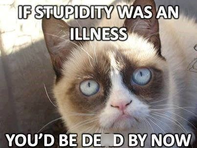 IF STUPIDITY WAS AN ILLNESS YOU'D BE DE D BY NOW