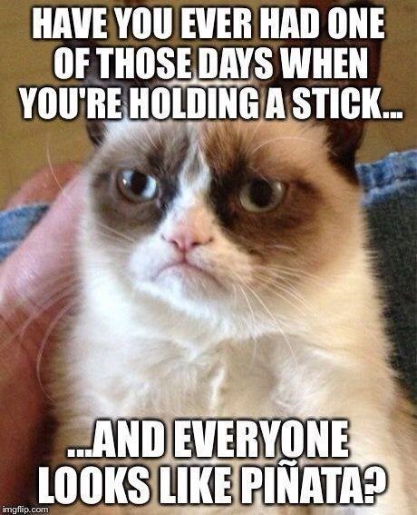 HAVE YOU EVER HAD ONE OF THOSE DAYS WHEN YOU'RE HOLDING A STICK... imgflip.com ....AND EVERYONE LOOKS LIKE PINATA?