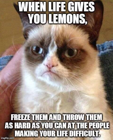 WHEN LIFE GIVES YOU LEMONS, FREEZE THEM AND THROW THEM AS HARD AS YOU CAN AT THE PEOPLE MAKING YOUR LIFE DIFFICULT. imgflip.com