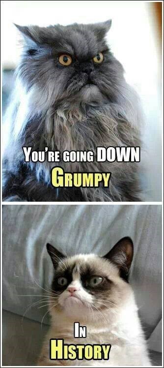 YOU'RE GOING DOWN GRUMPY IN HISTORY