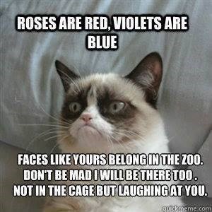 ROSES ARE RED, VIOLETS ARE BLUE FACES LIKE YOURS BELONG IN THE ZOO. DON'T BE MADIWILL BE THERE TOO. NOT IN THE CAGE BUT LAUGHING AT YOU. quickmeme.com