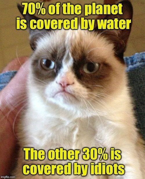 70% of the planet is covered by water imgflip.com The other 30% is covered by idiots