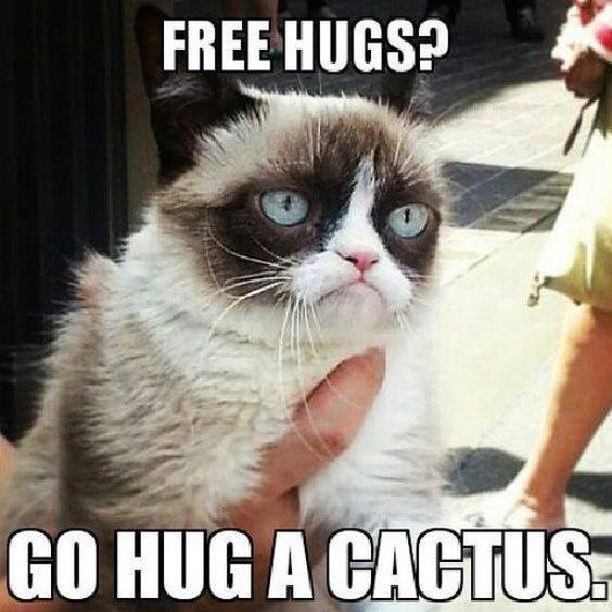 FREE HUGS? GO HUG A CACTUS.