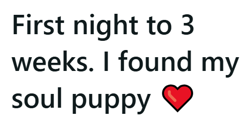 First night to 3 weeks. I found my soul puppy