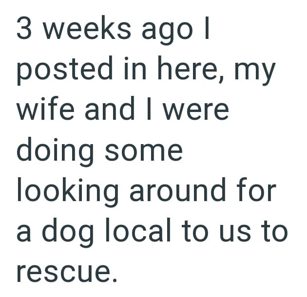 3 weeks ago I posted in here, my wife and I were doing some looking around for a dog local to us to rescue.