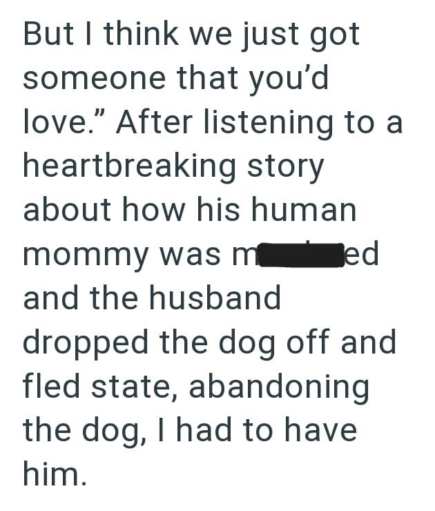 But I think we just got someone that you'd love." After listening to a heartbreaking story about how his human mommy was med and the husband dropped the dog off and fled state, abandoning the dog, I had to have him.