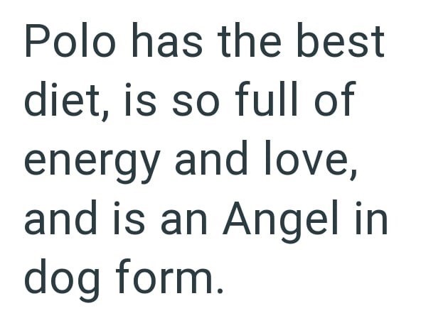 Polo has the best diet, is so full of energy and love, and is an Angel in dog form.