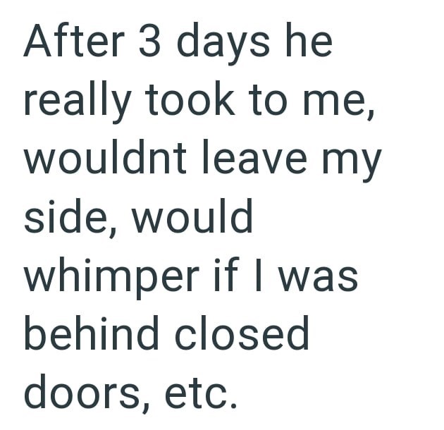 After 3 days he really took to me, wouldnt leave my side, would whimper if I was behind closed doors, etc.