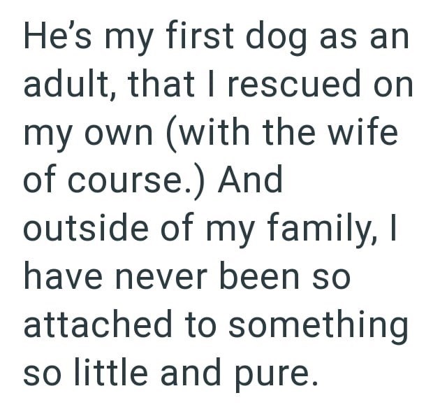 He's my first dog as an adult, that I rescued on my own (with the wife of course.) And outside of my family, I have never been so attached to something so little and pure.