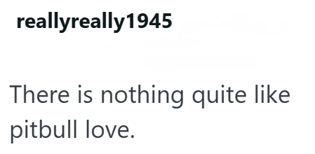 reallyreally1945 There is nothing quite like pitbull love.