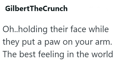 GilbertTheCrunch Oh..holding their face while they put a paw on your arm. The best feeling in the world