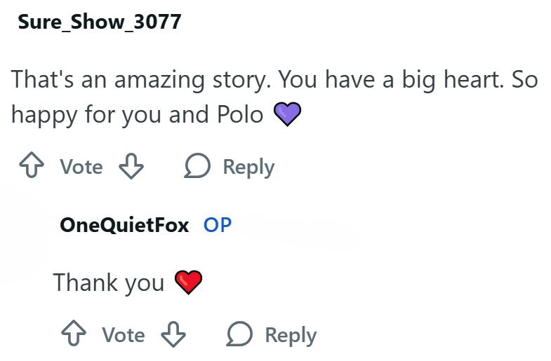 Sure_Show_3077 That's an amazing story. You have a big heart. So happy for you and Polo ↑ Vote Reply OneQuietFox OP Thank you Vote Reply
