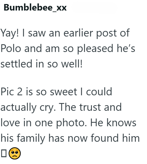 Bumblebee_xx Yay! I saw an earlier post of Polo and am so pleased he's settled in so well! Pic 2 is so sweet I could actually cry. The trust and love in one photo. He knows his family has now found him □(