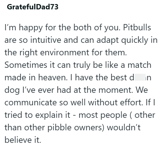 GratefulDad73 I'm happy for the both of you. Pitbulls are so intuitive and can adapt quickly in the right environment for them. Sometimes it can truly be like a match made in heaven. I have the best d in dog I've ever had at the moment. We communicate so well without effort. If I tried to explain it - most people ( other than other pibble owners) wouldn't believe it.