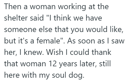 Then a woman working at the shelter said "I think we have someone else that you would like, but it's a female". As soon as I saw her, I knew. Wish I could thank that woman 12 years later, still here with my soul dog.