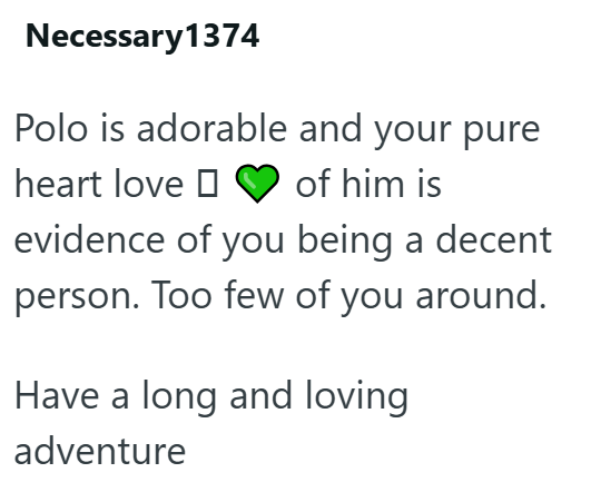 Necessary 1374 Polo is adorable and your pure heart love of him is evidence of you being a decent person. Too few of you around. Have a long and loving adventure