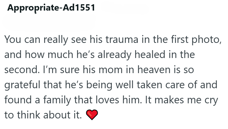 Appropriate-Ad1551 You can really see his trauma in the first photo, and how much he's already healed in the second. I'm sure his mom in heaven is so grateful that he's being well taken care of and found a family that loves him. It makes me cry to think about it.