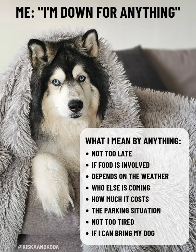 ME: "I'M DOWN FOR ANYTHING" @KISKAANDKODA WHAT I MEAN BY ANYTHING: • NOT TOO LATE • IF FOOD IS INVOLVED • DEPENDS ON THE WEATHER .WHO ELSE IS COMING • HOW MUCH IT COSTS • THE PARKING SITUATION • NOT TOO TIRED • IF I CAN BRING MY DOG