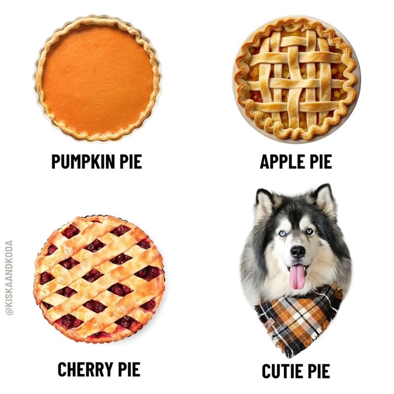 @KISKAANDKODA PUMPKIN PIE APPLE PIE CHERRY PIE CUTIE PIE