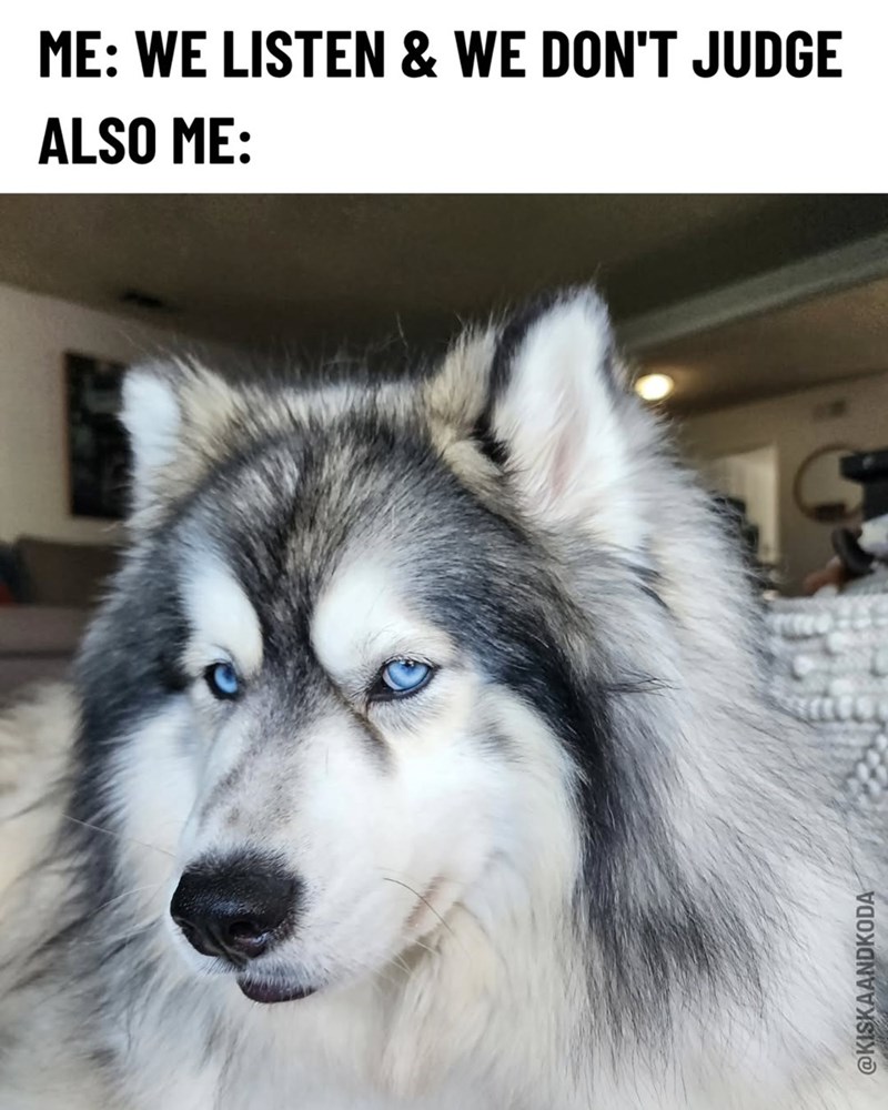 ME: WE LISTEN & WE DON'T JUDGE ALSO ME: @KISKAANDKODA S