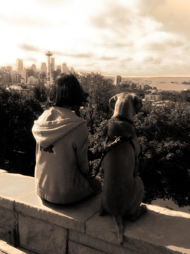 Cheezburger Image 10612994816