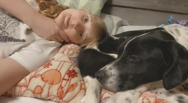 Cheezburger Image 10612995328