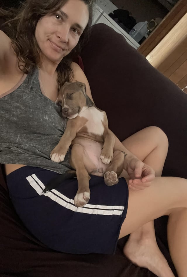 Cheezburger Image 10612995584