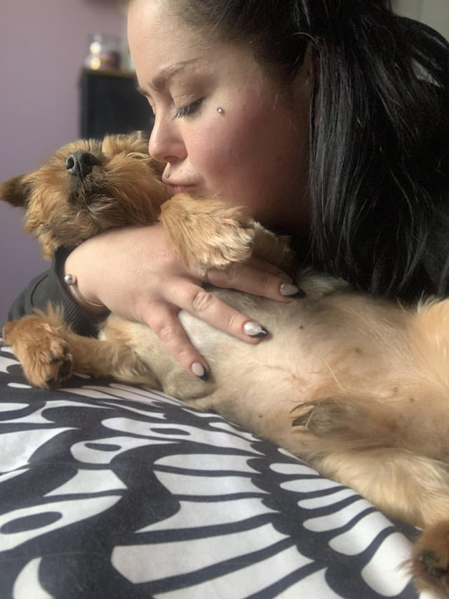 Cheezburger Image 10612995840