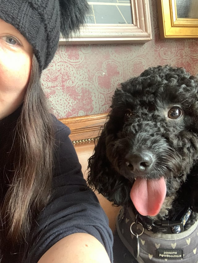 TALLE pawsome PWSboutique