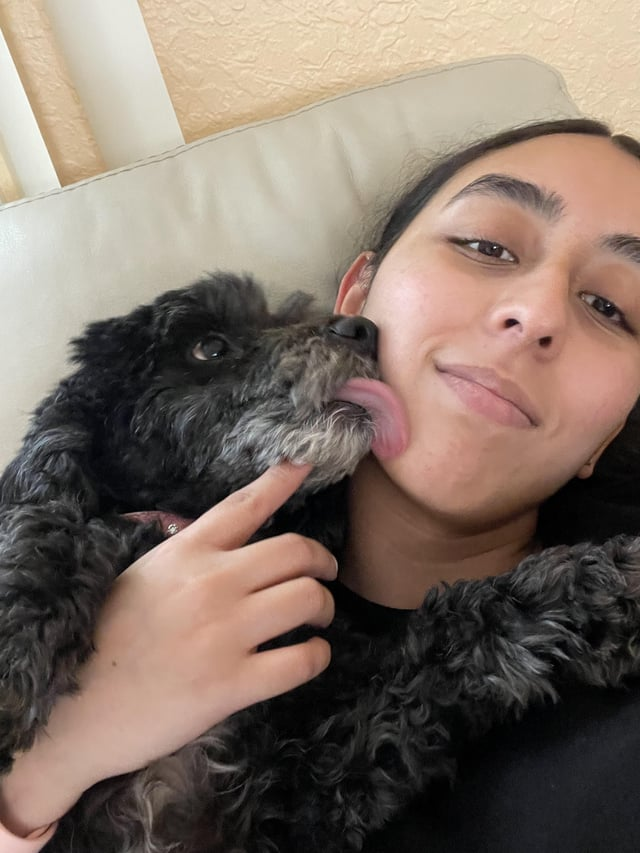 Cheezburger Image 10612998400