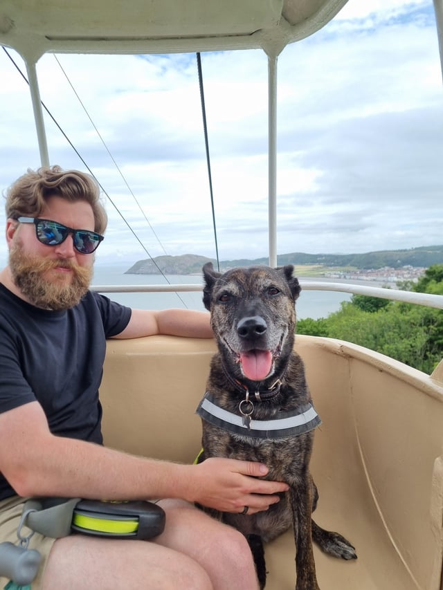 Cheezburger Image 10612998912