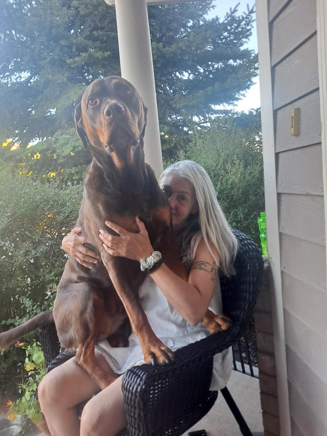 Cheezburger Image 10612999168