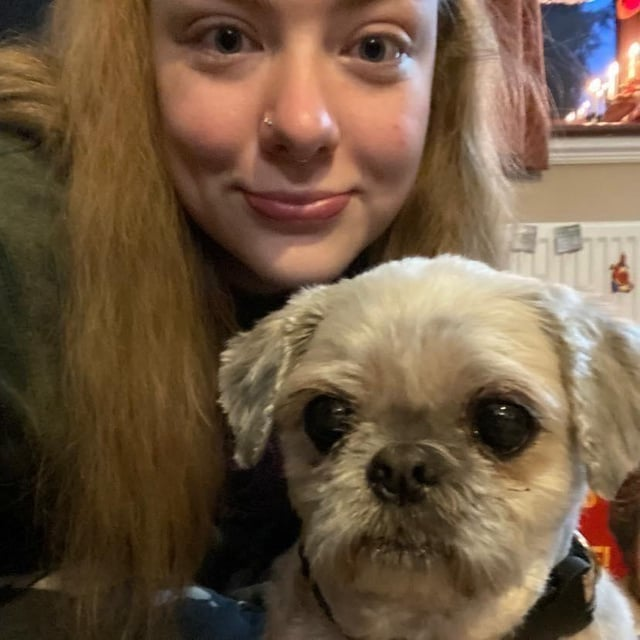 Cheezburger Image 10613000192