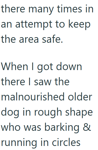 there many times in an attempt to keep the area safe. When I got down there I saw the malnourished older dog in rough shape who was barking & running in circles