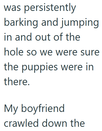 was persistently barking and jumping in and out of the hole so we were sure the puppies were in there. My boyfriend crawled down the