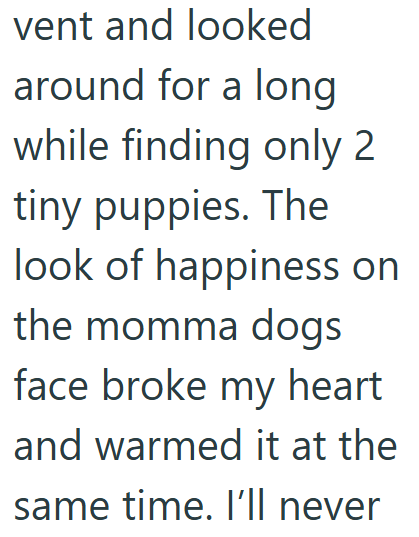 vent and looked around for a long while finding only 2 tiny puppies. The look of happiness on the momma dogs face broke my heart and warmed it at the same time. I'll never
