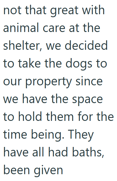 not that great with animal care at the shelter, we decided to take the dogs to our property since we have the space to hold them for the time being. They have all had baths, been given