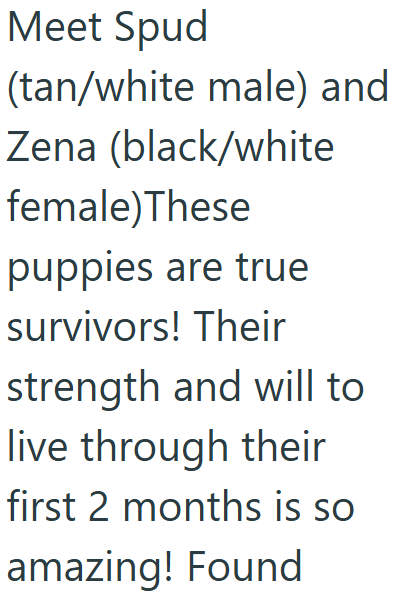 Meet Spud (tan/white male) and Zena (black/white female)These puppies are true survivors! Their strength and will to live through their first 2 months is so amazing! Found