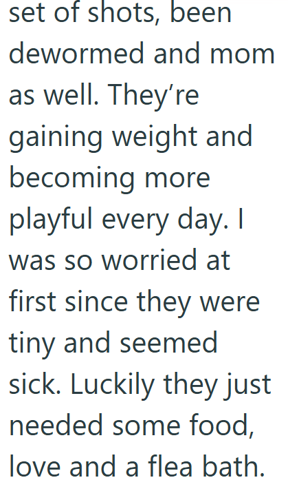 set of shots, been dewormed and mom as well. They're gaining weight and becoming more playful every day. I was so worried at first since they were tiny and seemed sick. Luckily they just needed some food, love and a flea bath.
