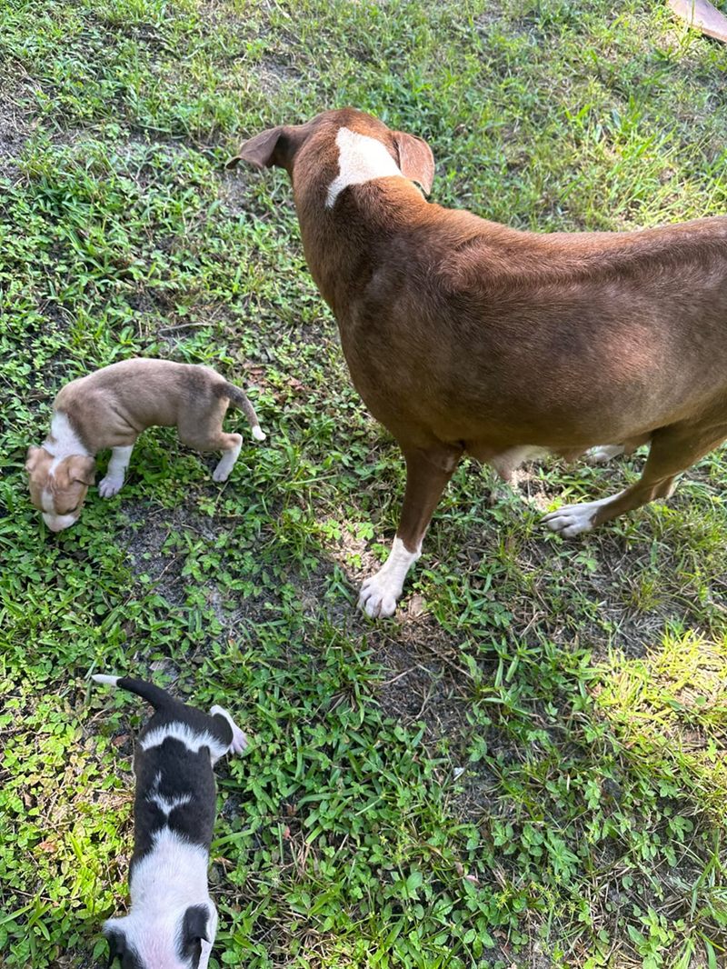 Cheezburger Image 10613005056