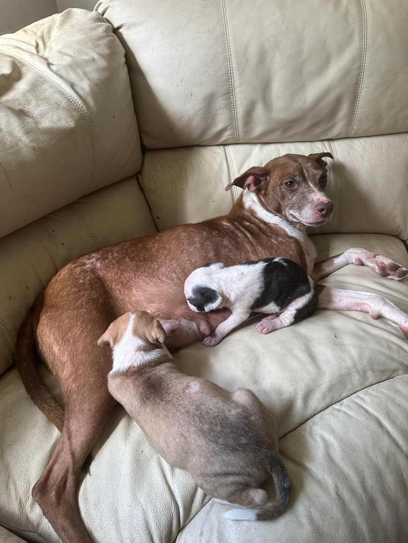 Cheezburger Image 10613005312