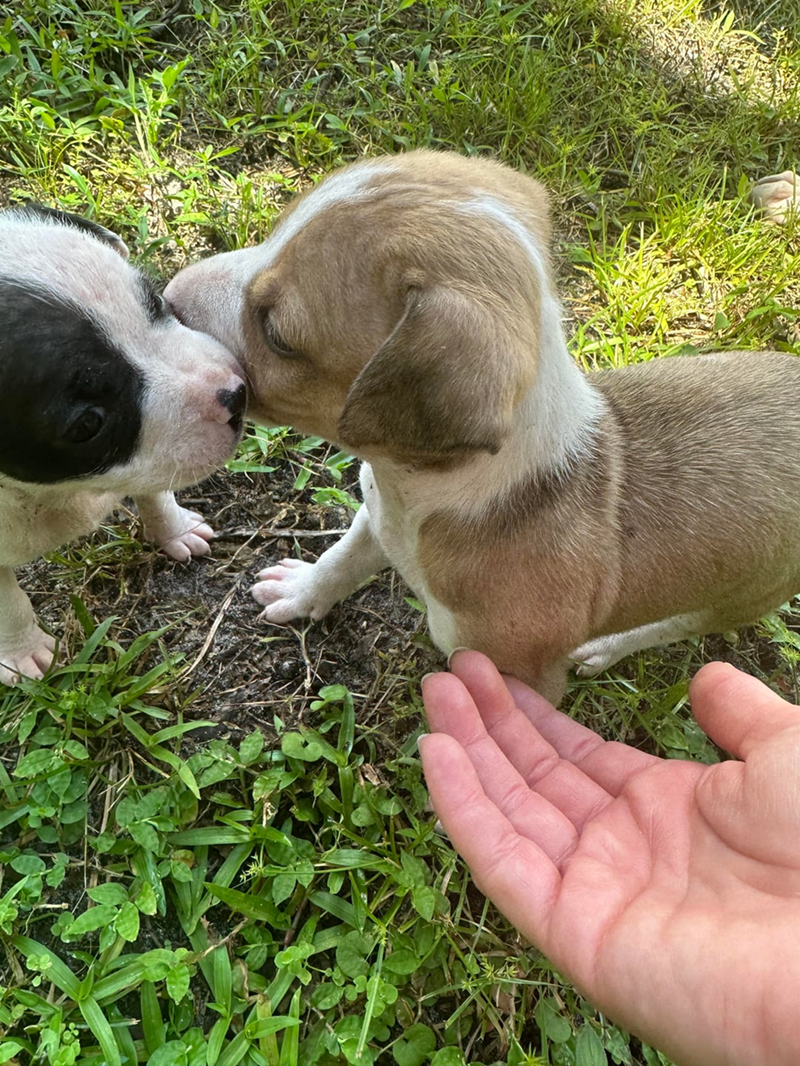 Cheezburger Image 10613005568