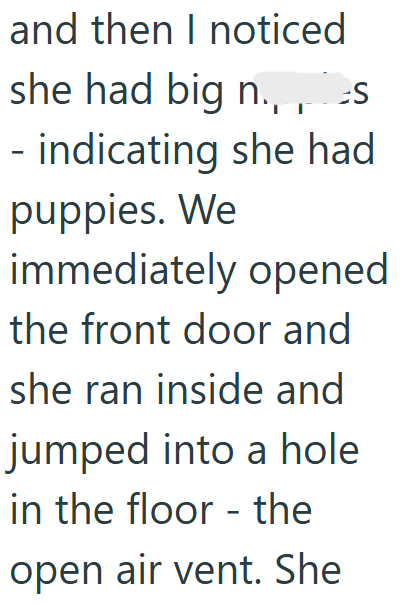 and then I noticed she had big n., -S - indicating she had puppies. We immediately opened the front door and she ran inside and jumped into a hole in the floor - the open air vent. She