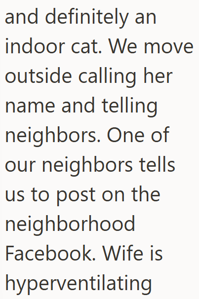 and definitely an indoor cat. We move outside calling her name and telling neighbors. One of our neighbors tells us to post on the neighborhood Facebook. Wife is hyperventilating