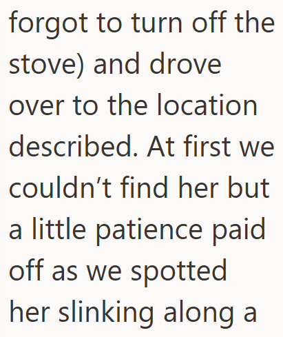 forgot to turn off the stove) and drove over to the location described. At first we couldn't find her but a little patience paid off as we spotted her slinking along a